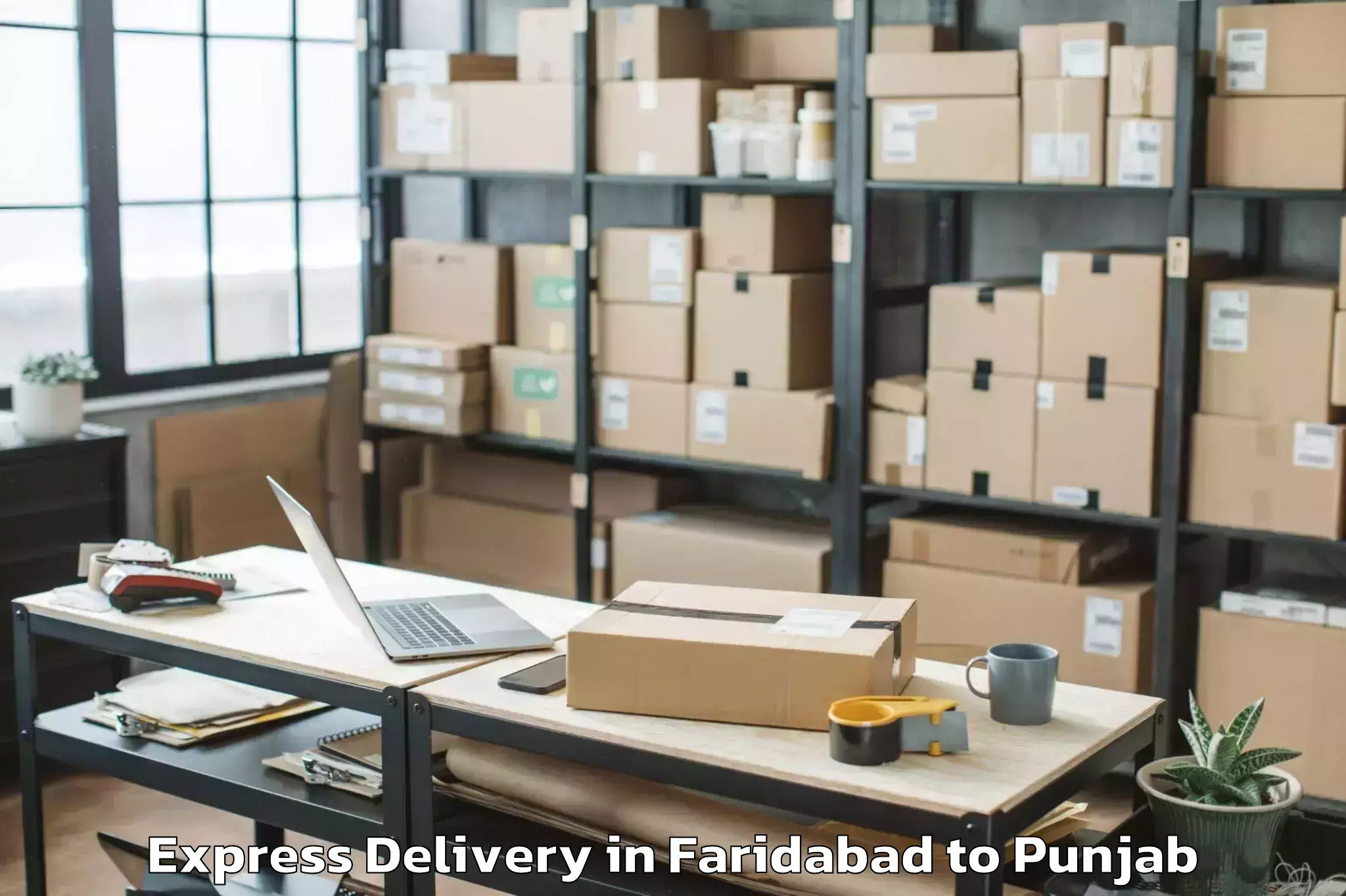 Reliable Faridabad to Gna University Phagwara Express Delivery